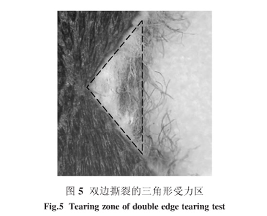 圖5：雙邊撕裂的三角形受力區