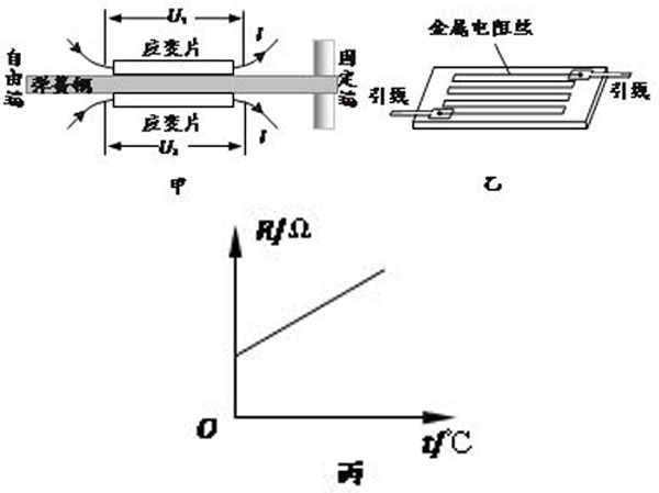 傳感器內部應變片結構示意圖